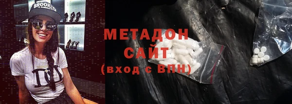 ГАЛЛЮЦИНОГЕННЫЕ ГРИБЫ Тайга