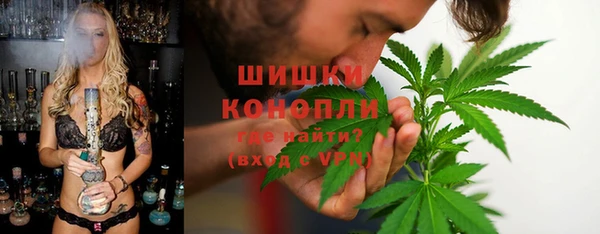 apvp Тавда
