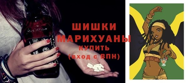 ГАЛЛЮЦИНОГЕННЫЕ ГРИБЫ Тайга