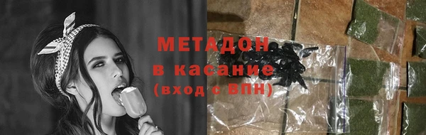 ГАЛЛЮЦИНОГЕННЫЕ ГРИБЫ Тайга