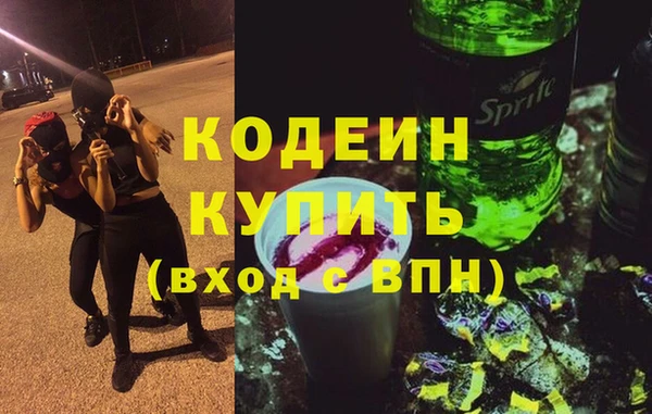 ГАЛЛЮЦИНОГЕННЫЕ ГРИБЫ Тайга