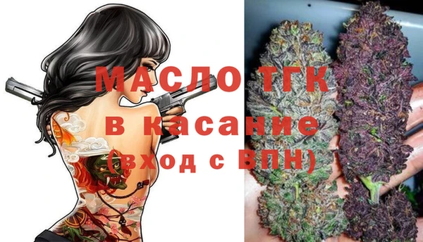 ГАЛЛЮЦИНОГЕННЫЕ ГРИБЫ Тайга