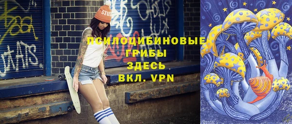 ГАЛЛЮЦИНОГЕННЫЕ ГРИБЫ Тайга