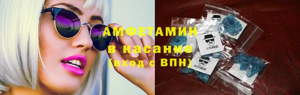 ГАЛЛЮЦИНОГЕННЫЕ ГРИБЫ Тайга