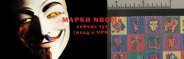ГАЛЛЮЦИНОГЕННЫЕ ГРИБЫ Тайга