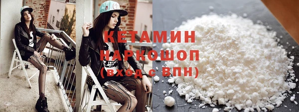 ГАЛЛЮЦИНОГЕННЫЕ ГРИБЫ Тайга