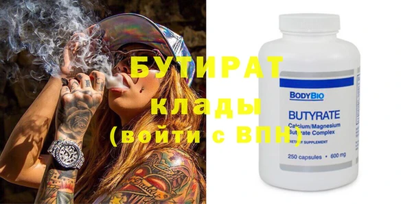 ГАЛЛЮЦИНОГЕННЫЕ ГРИБЫ Тайга