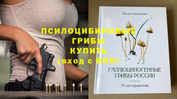 мет Сясьстрой