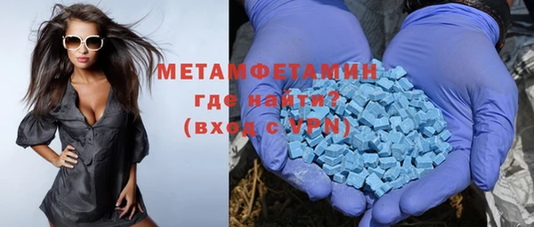 ГАЛЛЮЦИНОГЕННЫЕ ГРИБЫ Тайга