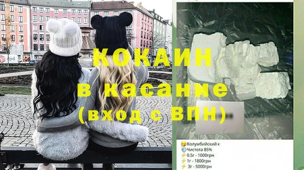 ГАЛЛЮЦИНОГЕННЫЕ ГРИБЫ Тайга