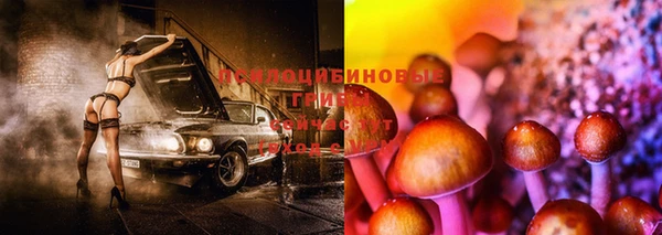 мет Сясьстрой