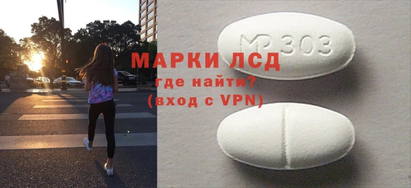 ГАЛЛЮЦИНОГЕННЫЕ ГРИБЫ Тайга