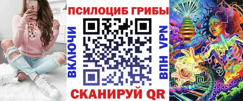 Псилоцибиновые грибы MAGIC MUSHROOMS  где продают наркотики  Ессентуки 